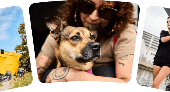 A person cuddling their dog, shown as part of a photo collage